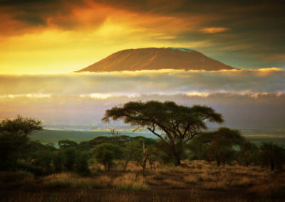 Amboseli, Mount Kiliminjaro, Kenya_30578977